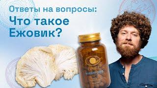 Всё, что нужно знать о Ежовике от EVALITE.Superfood