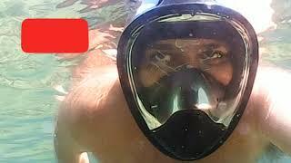 Buceo en Fuchiños 18, peces uno con un parásito