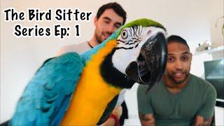 Training Our Bird Sitter & Leaving Mikey And Mia || The Bird Sitter Series - Ep: 1