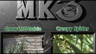 Mortal Kombat - Grow420Guide vs Creepy Spider