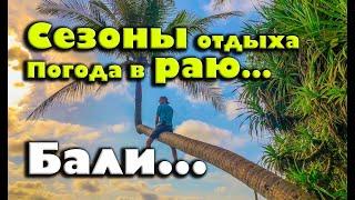 Погода на Бали. Сезоны для отдыха. Почему всегда дождь? отзывы бали, переезд за границу