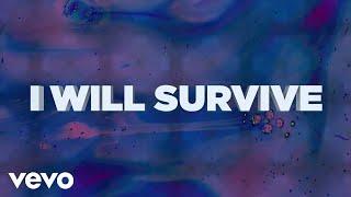 Belters Only - I Will Survive (Lyric Video)