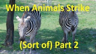 When Animals Strike (sort of) at Theme Parks, part 2 - Ep 30 Confessions of a Theme Park Worker