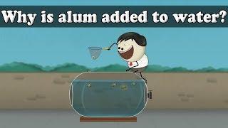 Water Purification - Why is alum added to water? | #aumsum #kids #science #education #children