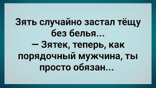 Зять Застал Тещу Без Белья! Сборник Свежих Анекдотов! Юмор!