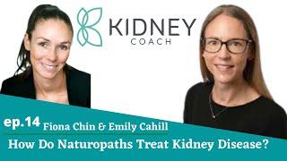 How Do Naturopaths Manage & Treat Kidney Disease? | Naturopathy Treatment | ft. Emily Cahill