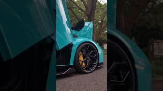 tosca lamborghini #lamborghini #mobilsport #mobilmewah