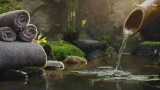 Relaxing Zen Music - Meditation Music, Peaceful Music, Bamboo, Relaxing Music, Nature Sounds, Spa