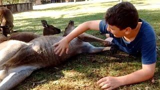 Teen Rubs Joyful Kangaroos Belly