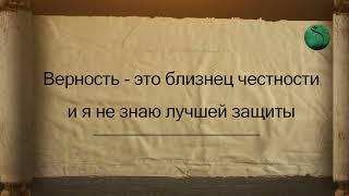 Предательство и верность в словах имама Али (мир ему)