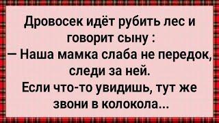 Как Дровосек Ушел Лес Рубить! Сборник Свежих Анекдотов! Юмор!