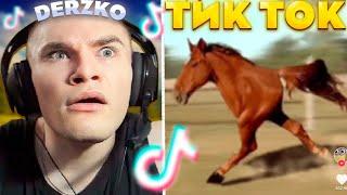 ДЕРЗКО СМОТРИТ ТИК ТОК #24 | derzko69