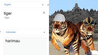 Tiger in different languages meme