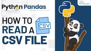 Read Python CSV files - with PANDAS | Complete PandasTutorial