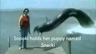 Sea Monster eats dog. Snooki's dog gets eaten by giant eel.