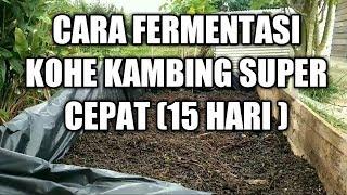 #CARA  FERMENTASI KOHE KAMBING SUPER CEPAT