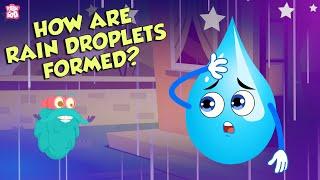 How Are Rain Droplets Formed? | WATER CYCLE | The Dr Binocs Show | Peekaboo Kidz