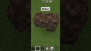 how to make (3 headed) wither skeleton in #minecraft