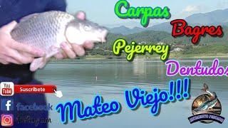 A FULL la PESCA en Mateo Viejo!!! #pesca #carpa #cabracorral #pejerrey #tararira #bagre