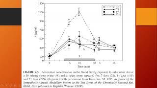 [PLANT SAFETY NETWORK] 5 - The Physiology of Stress