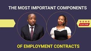 The Most Important Components of Employment Contracts