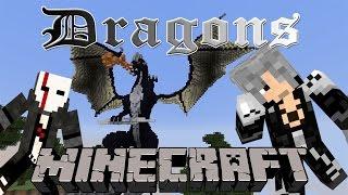 Minecraft | Dragons | w/ Hashimoto00 | Interwebs always dropping