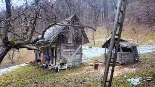 Три Сім'ї в Урочищі Воловець: Важке Життя, Вівці, Старовинні хати та Карпатські Вершини