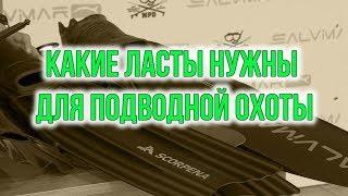 Какие нужны ласты для подводной охоты? Урок для начинающих охотников.