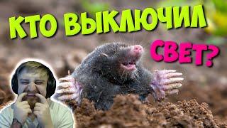 ПАНИКЕ ОТКЛЮЧИЛИ СВЕТ НА НОВЫЙ ГОД(ВРЕМЯ ОФИГИТЕЛЬНЫХ ИСТОРИЙ)