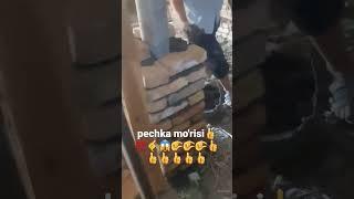 pechka mo'risi#shortsvideo #tiktok #prank #biznes #prank #pechka