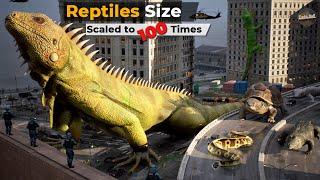 If Reptiles' Size Increased to 100 Times| Imaginary Size Comparison