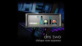 Introducing CEDAR DNS Two