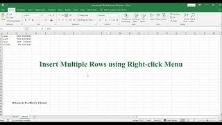 How to Insert Multiple Rows in Excel