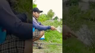 Lagi mancing di tubruk tikus