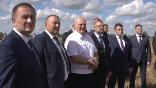 Лукашенко на ферме: Потолки низкие! Скотина тут мучилась! Ты сделал очень разумно! // Слуцкий район