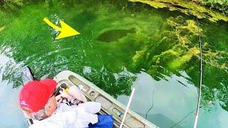 ONCE in a LIFETIME CATCH in CLEAR WATER POND!! (monster)