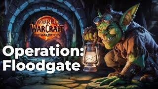 Operation: Floodgate - First Impressions - WoW 11.1