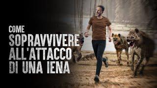 Come sopravvivere all'attacco di una iena