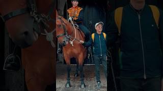 MAN ANNOYS GUARD ️ | Horse Guards, Royal guard, Kings Guard, Horse, London, 2024