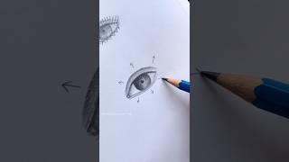 Easiest Eyelashes Drawing Tutorial  #shorts