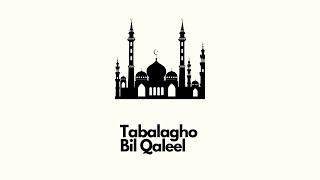 Tabalagh Bil Qaleel | تبلغ بالقليل | Arabic Nasheed | English Subtitles |