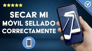 ¿Cómo secar mi MÓVIL sellado correctamente? - Trucos útiles