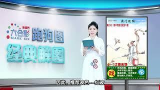 第068期 --【新澳门跑狗图】白小姐解图，助你轻松中奖！#新澳门六合彩 #澳门六合彩 #香港六合彩 #六合彩 #跑狗图 #六合图纸视频解料 #白小姐 #澳门 #香港 #经典解图