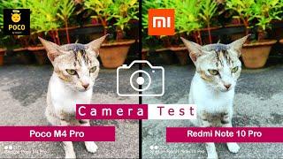 Poco M4 Pro vs Redmi Note 10 Pro | Camera Comparison | Camera Test | | Tech Song |