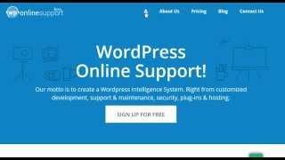 How to Use WP Online Support?