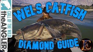 How to catch a DIAMOND WELS CATFISH | The Angler