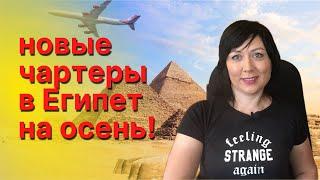 Новые чартеры в Египет из 3-х городов! ANEX Tour из Москвы, Питера и Екатеринбурга