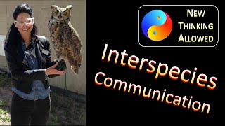 Interspecies Communication with Davis Brimberg