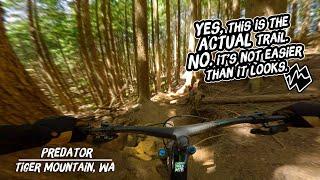 I've Been Eyeing Up This MTB Trail For 3 Years |Predator -Tiger Mountain, WA