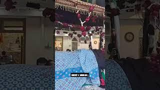 Taboot E imam Ali ع || Panja Sharif Delhi ||